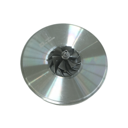 Turbo patron 1.9 DCI 110 115 125 130, 8200398585, 8200475873, 8200507286, 8200631167, 8200683857, 8200732947, 755507-0001