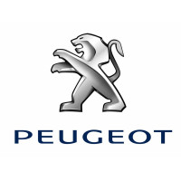 za Peugeot-injektor  