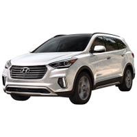 INJEKTORIUS skirtas Hyundai Santa Fe 