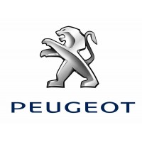 Turbo voor Peugeot