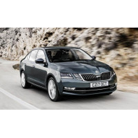 Kasetė turbokompresoriaus turbo skirtas Skoda Octavia