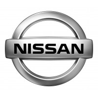 Filtre à particule pour Nissan 