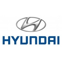 Filtre à particule pour Hyundai 