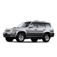 INJEKTOR Hyundai  Terrain