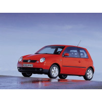 Lupo