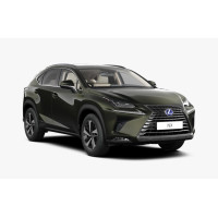 Kartush turbo hibride Lexus NX