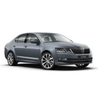 Φυσίγγιο υβριδικού τούρμπο Skoda Octavia