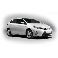 Auris