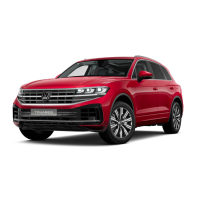 Touareg